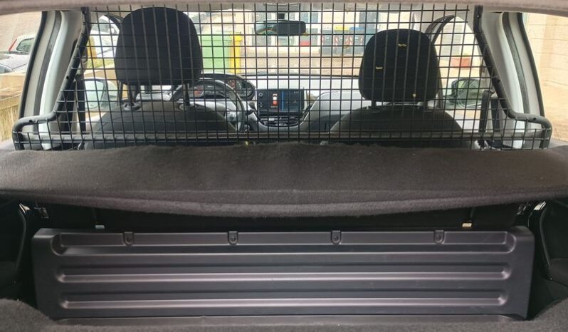 PEUGEOT – 208 1.5 bluehdi 100cv van Active pieno