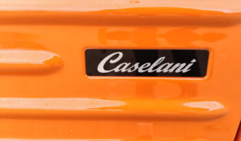 CITROEN – Ami Caselani pieno