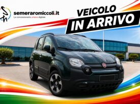 FIAT – Pandina Cross 1.0 firefly hybrid s&s 70cv