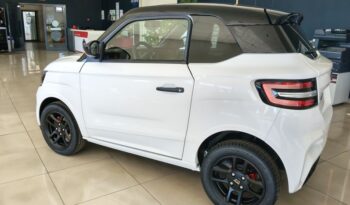 LIGIER – pieno